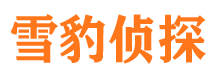 寻甸侦探公司